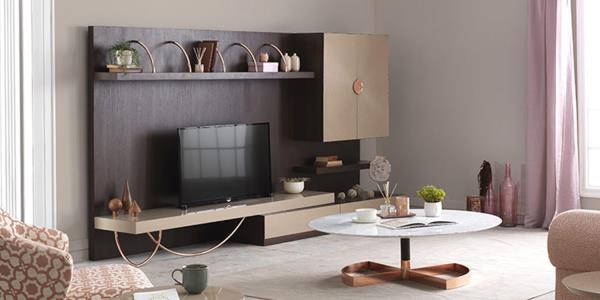 ANTARES TV UNIT