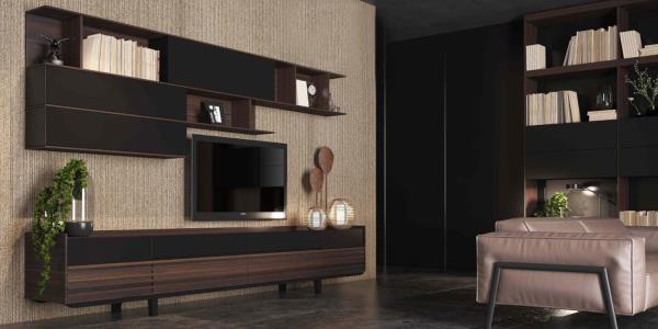 TROSA TV UNIT